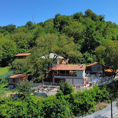 Sadmeli Winery Hotel Амбролаури Екстериор снимка