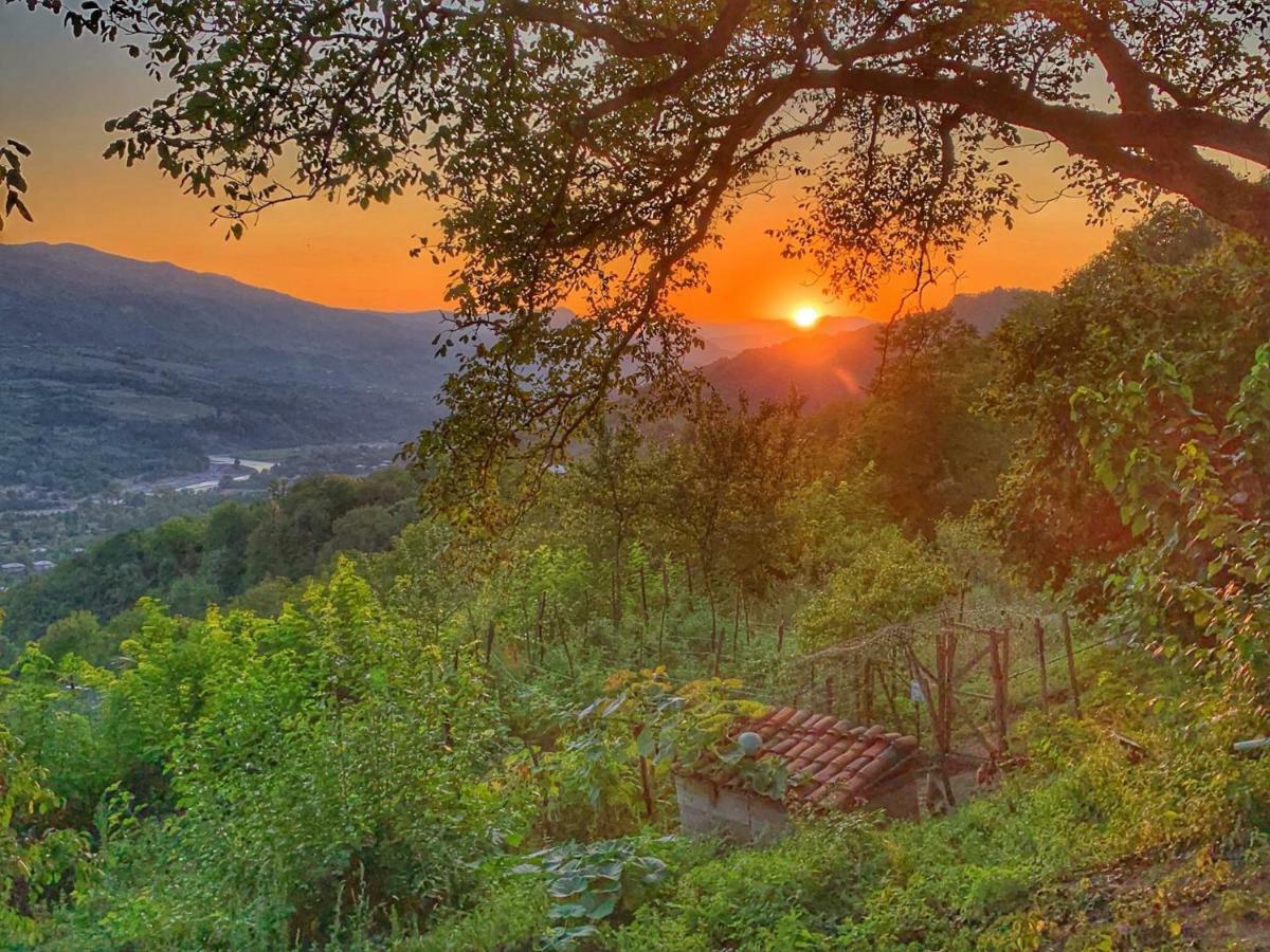 Sadmeli Winery Hotel Амбролаури Екстериор снимка